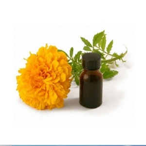 100% Pure & Natural Tagetes Marigold Flower <b>Essential</b> <b>Oil</b> at Cheap Price - Product Image 5