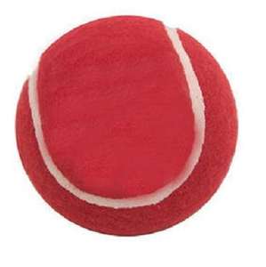 Balle de Cricket d'entraînement couleur bleue en caoutchouc doux en plein air jouer Match compétition Tournamnet pratique balle de Tennis rebondissant élevé - Product Image 5