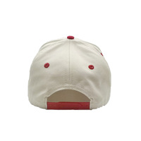Gorra de Béisbol de 5 Paneles con Bordado Plano en 3D, Letras Bordadas en Dos Tonos, Estilo A-Frame, Logotipo Personalizado