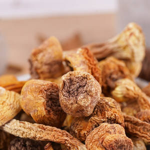 Tranches de champignons Agaricus Blazei Murrill séchés par le fabricant, faibles en calories - Product Image 6