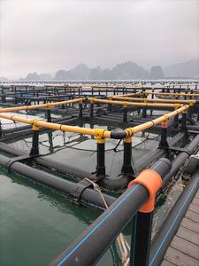 Piège d'aquaculture HDPE Cage à poissons grandes et petites du fabricant vietnamien en gros pour l'élevage du poisson - Product Image 5