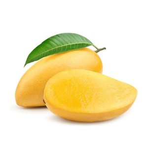 Extracto de Mango Silvestre en Polvo, Ingrediente de Fruta de Origen Vegetal, Grado Alimenticio para Alimentos y Bebidas Funcionales, Proveedor Mayorista OEM de Tailandia - Product Image 3