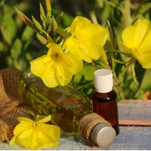 La mejor calidad, 10ml, aceite esencial puro de onagra a granel personalizado para un excelente uso de la piel, ¡excelente valor! - Product Image 4