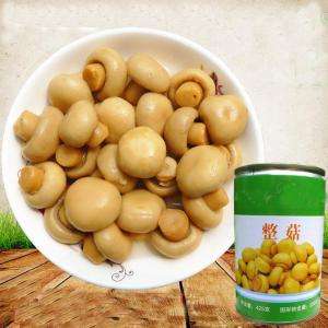 SETA enlatada, venta al por mayor, China - Product Image 3