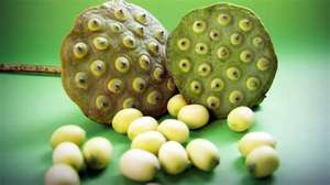 GRAINES DE LOTUS SÉCHÉES | ORIGINE DU VIETNAM | PREMIUM GRADE | POUR LE THÉ ET LA CUISINE - Product Image 3