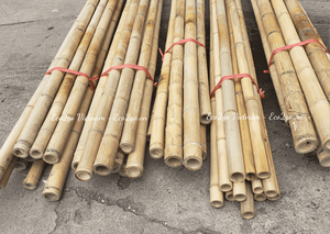 Meilleur vendeur, poteaux en bambou gratuits/ Grands poteaux en bambou/ Prix des poteaux en bambou de Eco2go Vietnam - Product Image 2