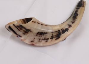 Corne de bélier authentique faite à la main Shofar-Style animal sculpté technique matériau organique-fournisseurs et fabricants de l'Inde - Product Image 5