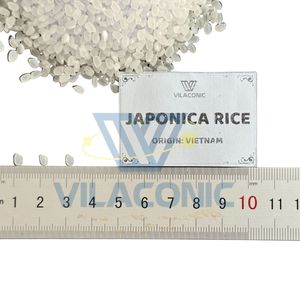 Viet Nam Fresh Organic 4-6mm Hard Texture White Japonica Long <b>Grain</b> Rice 2026 Crop Vilaconic Brand 5% Broken - Product Image 4