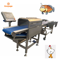 Automatische Grote Bevroren Aquatische Sardines Martin Vis Fabriek Verwerking Gewicht Grader Machine