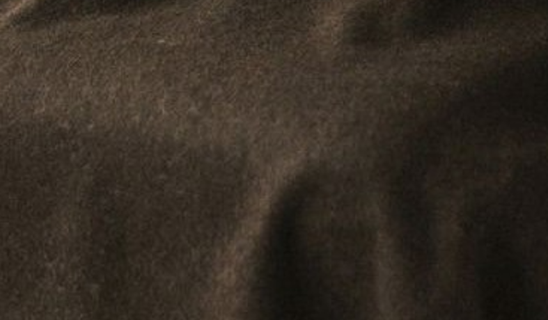 สีน้ำตาลเข้ม