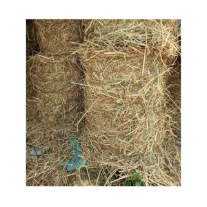 100% paille de riz naturelle paille de blé bon prix meilleure qualité matériel d'alimentation pour animaux du Vietnam en gros - Product Image 1
