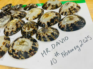 แผ่นรองพยาบาลเปลือก limpet ที่ยั่งยืนการดูแลหัวนมหลังคลอดตามธรรมชาติ - Product Image 4