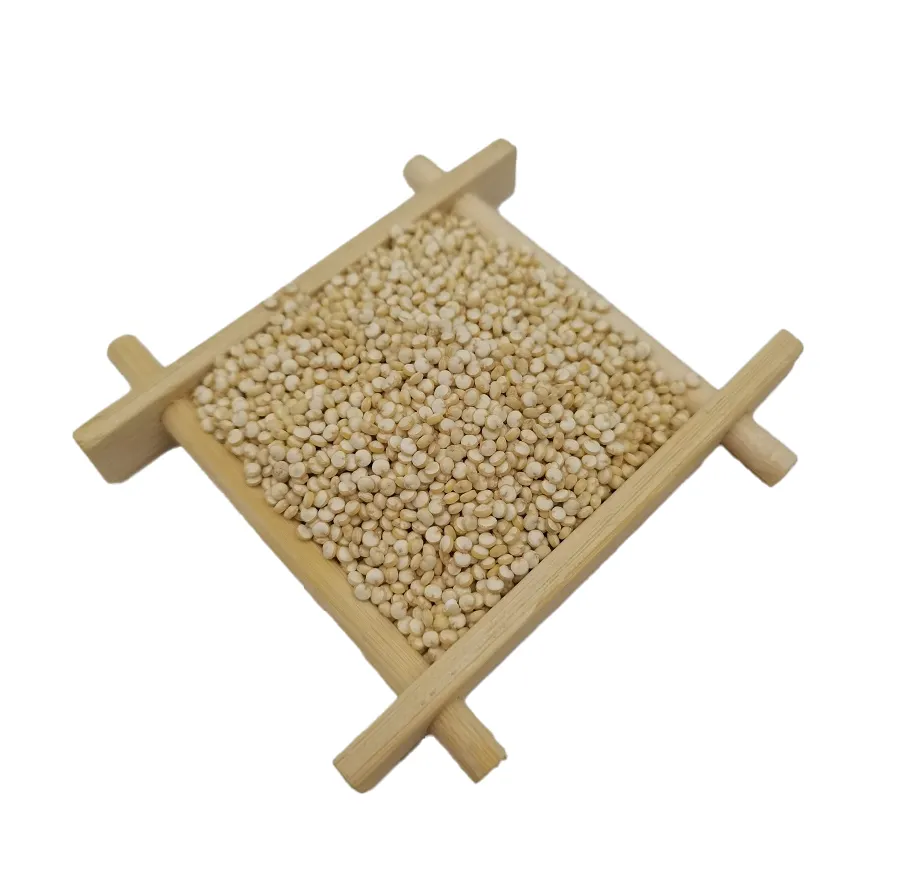 Organic Quinoa Seed Bulk Supply New Arrival Best Price Certified White Dried