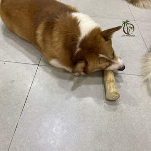 Jouet à mâcher en bois de café naturel pour chiens Bâton à mâcher pour animaux de compagnie ou jouet en os Matériau sûr et durable pour les soins dentaires et les loisirs amusants - Product Image 6