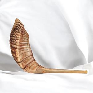 Shofar Hebreo Hecho a Mano con Cuerno de Carnero, Instrumento Musical Religioso para la Oración - Product Image 4