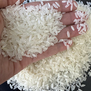 Riz Camolino à grains moyens Calrose de qualité supérieure pour l'exportation, texture douce, idéal pour l'Océanie, les Amériques et les marchés asiatiques // ANNA DO - Product Image 2