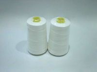 Usine chinoise personnalisée 104 206 12S/4 12S/6 20S/7 petits 150g 200g 1kg 5kg sacs en fil de polyéthylène couture en gros-PET