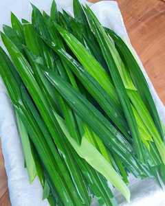 TODA LA HOJA DE PANDAN CONGELADA NATURAL/SIN ADITIVOS/LISTA PARA USAR PARA LAS MARCAS DE POSTRES ASIÁTICOS MEZCLAS DE TÉ Y SUMINISTRO DE EXPORTACIÓN ORGÁNICA - Product Image 1