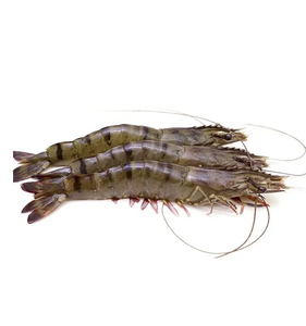 Camarón congelado fresco Tigre negro Precio de mercado camarón tigre negro entero de alta calidad tigre negro entero - Product Image 4