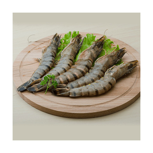 Camarones tigre negros disponibles para la venta a distribuidores y comerciantes de mariscos congelados - Product Image 6