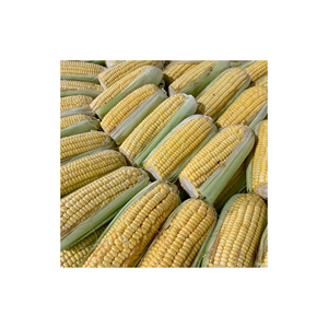 Maíz seco amarillo y blanco para alimentación animal estilo maíz - Product Image 2