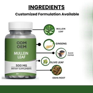 OEM/ODM Vente en gros Capsules d'extrait de feuille de molène naturelle Produit populaire Supplément de santé Extrait de feuille de molène - Product Image 3