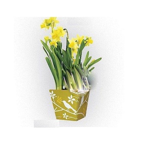 Maceta de metal Vintage de la mejor calidad con aspecto envejecido auténtico para ajustes de decoración atemporales, forma y tamaño personalizados al mejor precio - Product Image 2