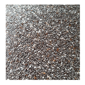 Proveedor de semillas de chía negra Premium de Vietnam disponibles a granel para exportación en todo el mundo - Product Image 1