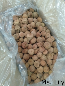 Export Quality Sun-Dried Lychee| Long <b>Shelf</b> Life, Rich in Fiber and Antioxidants| Ms. Lily - Product Image 3