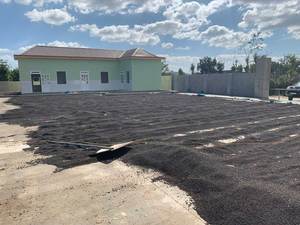 Pimienta de Vietnam de Alta Calidad, Seca, Procesada AD, 13% de Humedad, Bolsas de 1-50 kg, Precio de Fábrica al por Mayor +84 796 855 283 (Sr. Brian) - Product Image 4