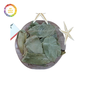 Hojas de Guanábana Secas, Hoja de Graviola, Té de Hojas Sueltas, Alta Pureza, Annona Muricata, Hojas de Guanábana Secas, Envío Global - Product Image 6