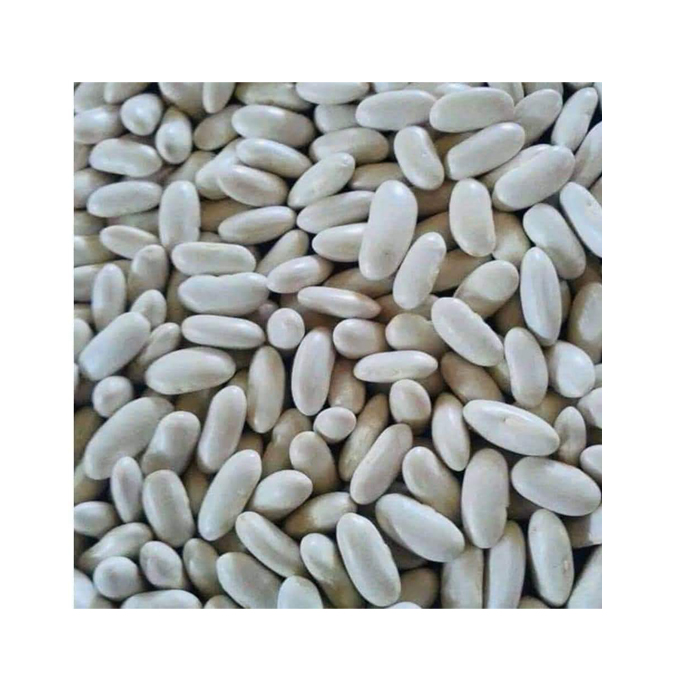 Pemasok terkemuka produk pertanian grosir kualitas tinggi kacang ginjal putih kering/Kacang Alubia/Kacang biru laut dari Mesir