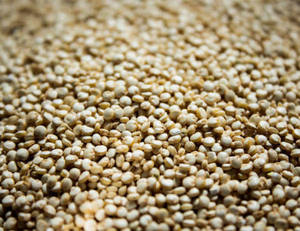 Graines de quinoa blanches naturelles, séchées, en vrac, pour la cuisine, la pâtisserie et la préparation des repas, en vente - Product Image 2