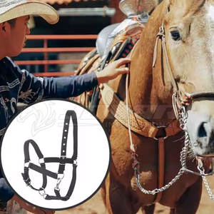 Licol de cheval en cuir de qualité supérieure Design artisanal Rembourrage doux Halters d'équitation pour un confort supplémentaire - Product Image 3