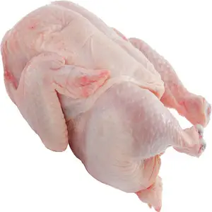 Vente en gros de poulet entier congelé de haute qualité à bas prix Poulet entier congelé Halal et parties de poulet entier congelé