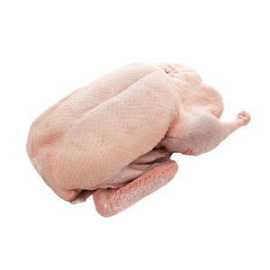 DINDE ENTIÈRE HALAL CONGELÉE/TURQUIE | DINDE ENTIÈRE CONGELÉE TRANSFORMÉE - Product Image 1