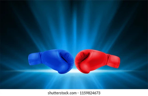 Gants de boxe professionnels gagnants jumeaux boxe cuir véritable MMA Muay Thai Sparring Kick gants de boxe - Product Image 4