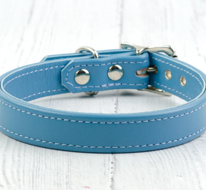 Collar de perro de piel de becerro italiano azul bebé Collar de perro de cuero verde para galgo y whippet - Product Image 1