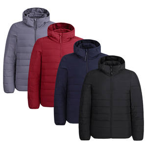 Chaqueta de Plumón Personalizada Ligera para Hombre, Chaqueta de Invierno Sólida de Alta Calidad, Impermeable, Cálida, Informal - Product Image 2