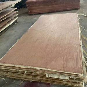 Hojas de contrachapado Premium Bintangor, núcleo de eucalipto de Vietnam para uso interior - Product Image 4