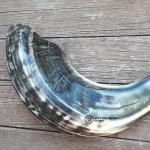 Vente en gros de cornes de shofar de bélier naturelles cornes d'animaux fabriquées à la main pour la décoration intérieure et les détaillants de cadeaux - Product Image 4