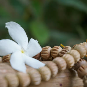 Producto de cuentas de madera Mala de sándalo de la mejor calidad en colección de precios al por mayor - Product Image 5