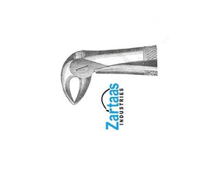 คีมสกัดสแตนเลส Fig 35จากผู้ส่งออกและผู้ผลิต - Product Image 4