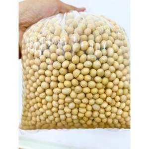 High-Quality <b>Soybean</b> Seeds from Brazil For Sale - Product Image 1