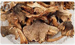 Champignon de termite séché naturel de qualité supérieure pour la vente en gros prix bon marché - Product Image 6