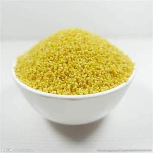 ขายส่งอาหารนกแบบกำหนดเองได้ เมล็ดข้าวฟ่างเหลือง เมล็ดข้าวฟ่างไทย - Product Image 3