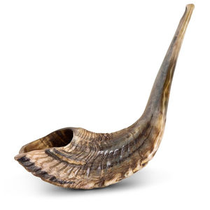 Suministro al por mayor Artesanías naturales Ceremonial Ram Horn Shofar kudu cuerno Mejora tus rituales disponibles en suministro mayorista - Product Image 1