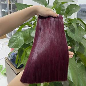 VENTA AL POR MAYOR HUESO RECTO COLORES BURGUNDY DONANTE CRUDO SUPER DOBLE SUAVE CUTICULA SEDA ALINEADA EXTENSIONES DE CABELLO HUMANO VIETNAMÉS - Product Image 6