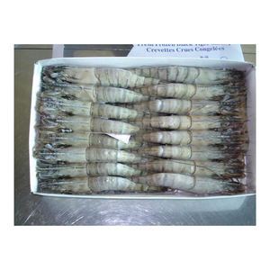 กุ้งลายเสือแช่แข็งคุณภาพสูง พร้อมจำหน่ายราคาส่ง - Product Image 1