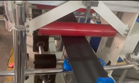 Machine d'enrobage de profilés à colle chaude TAISAN pour bois, WPC, MDF, PVC, machines à bois, 380V 50HZ, facile à utiliser